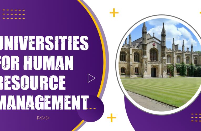 The Top 10 Universities for Human Resource Management Students in the USA