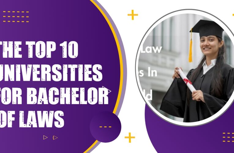 The Top 10 Universities for Bachelor of Laws (LL.B.) Students in the USA